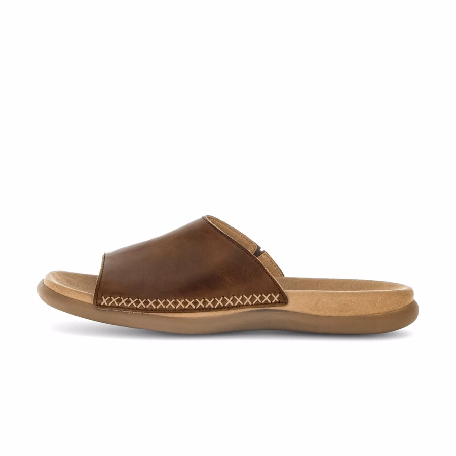 BROWN MULE