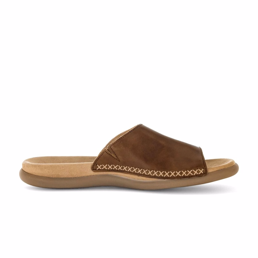 BROWN MULE