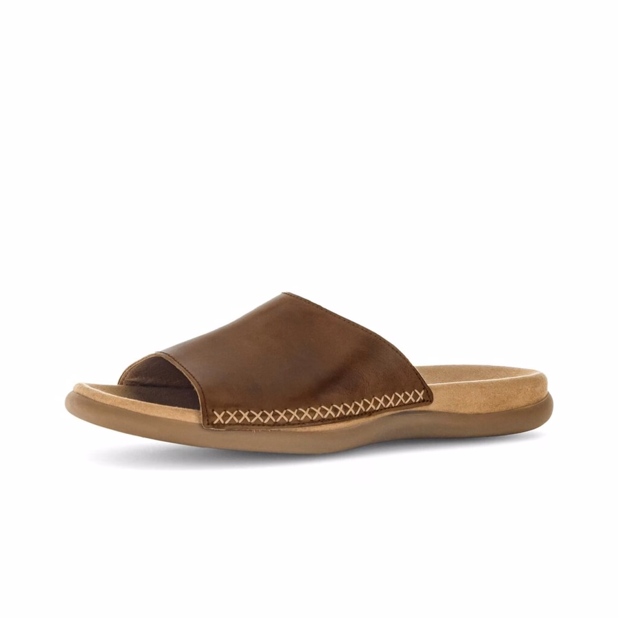 BROWN MULE