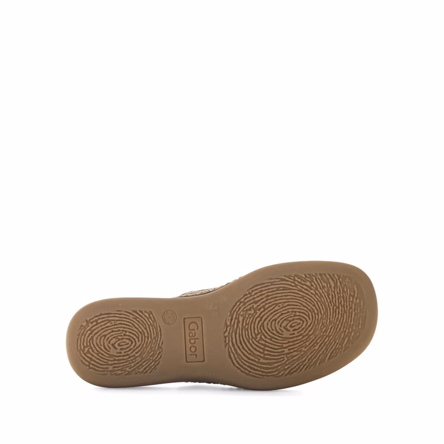 BROWN MULE