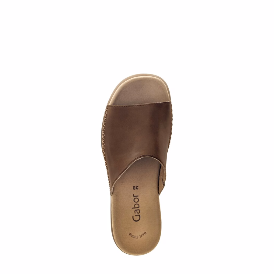 BROWN MULE