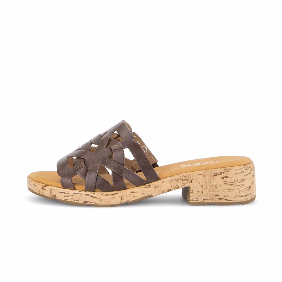 BROWN MULE