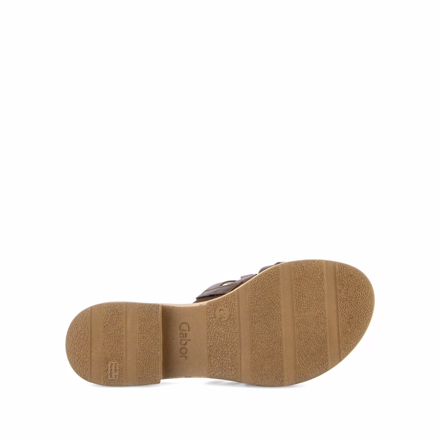 BROWN MULE