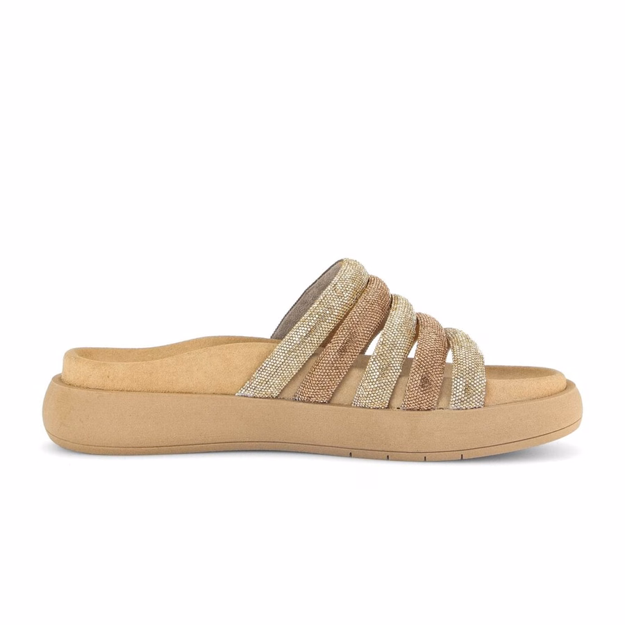 GOLD MULE