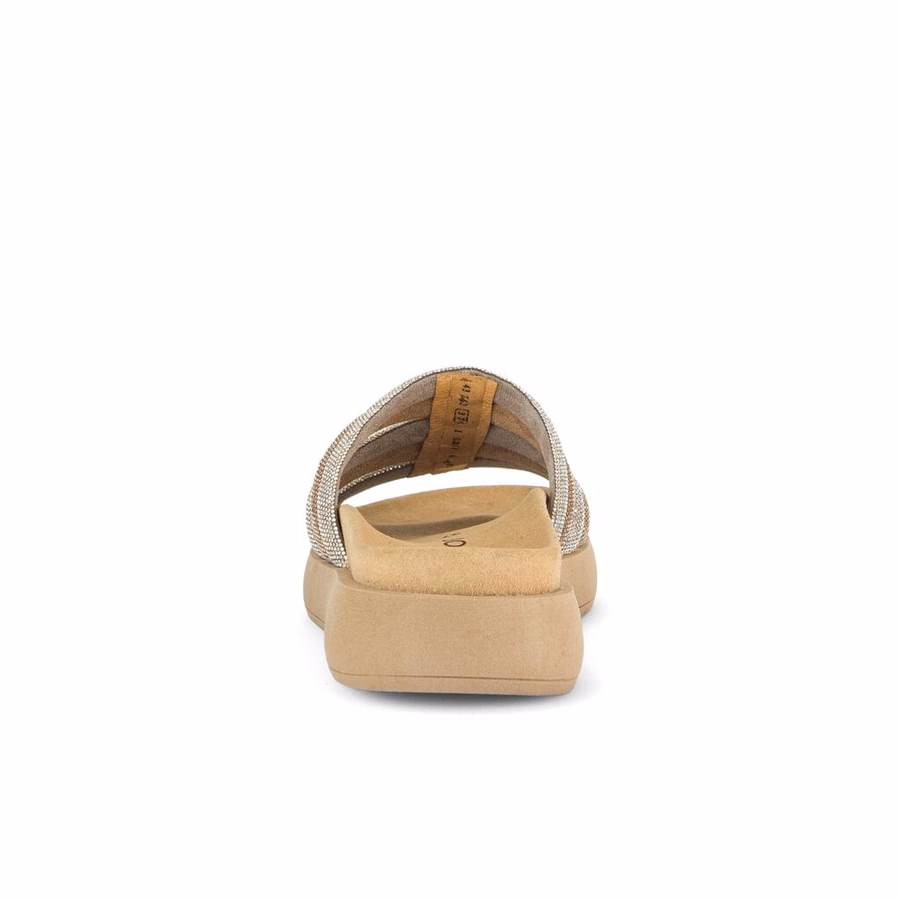GOLD MULE