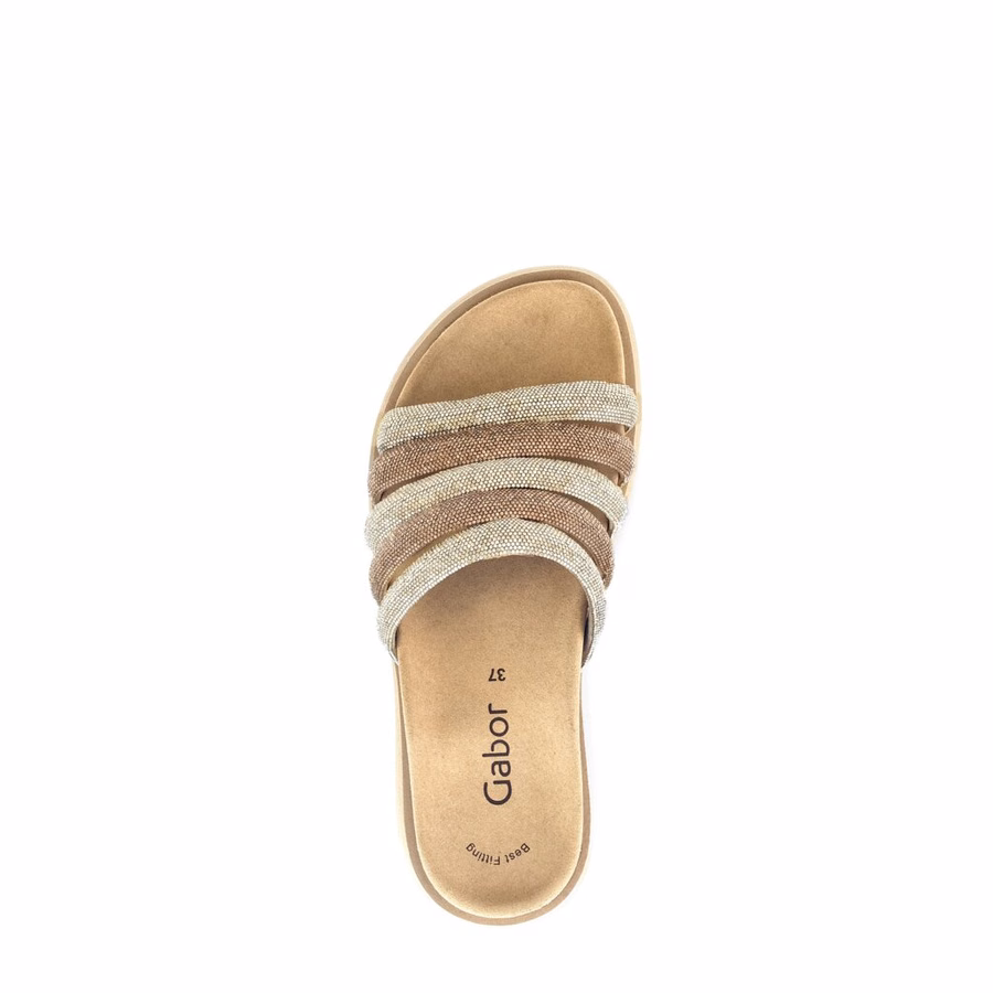 GOLD MULE