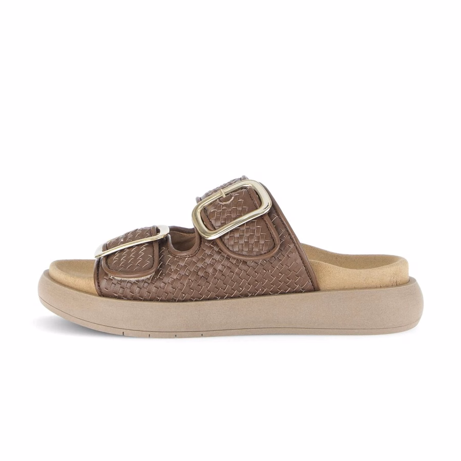 BROWN MULE