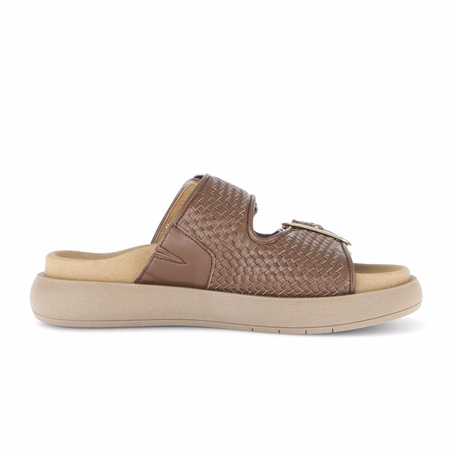 BROWN MULE