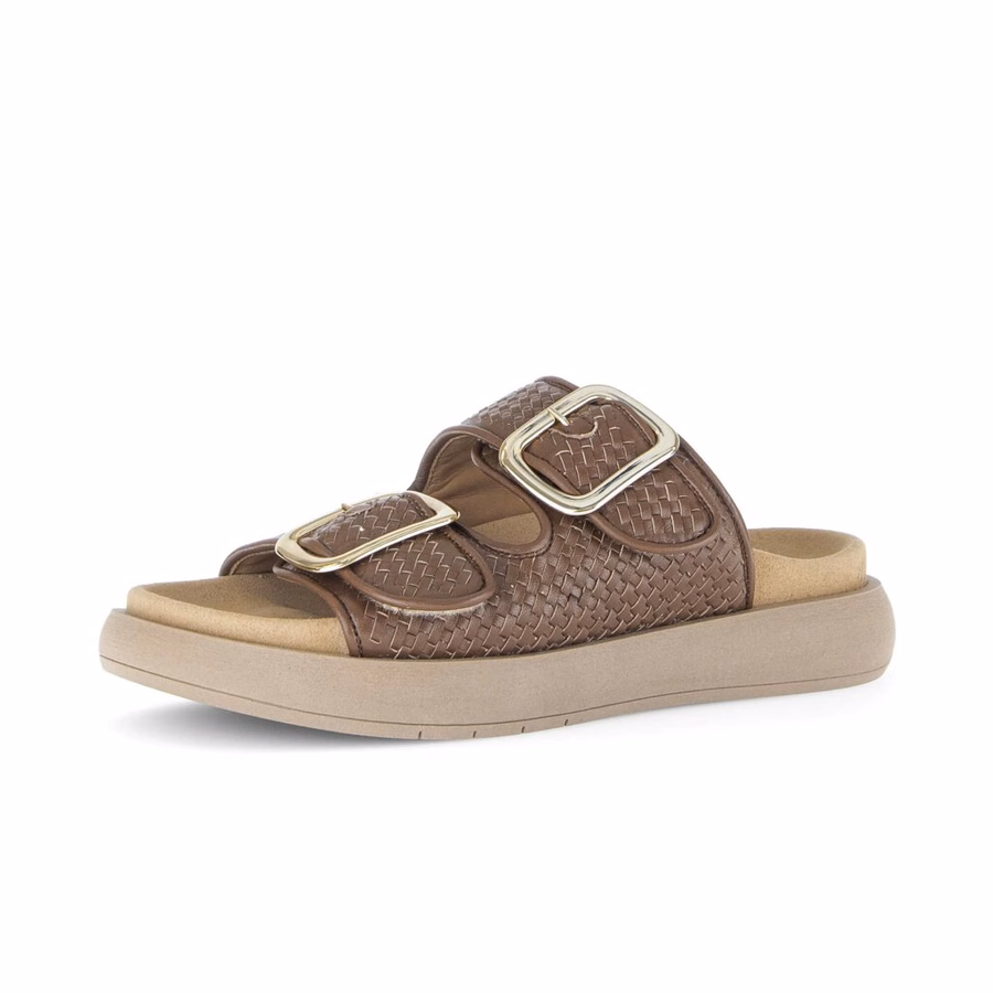 BROWN MULE
