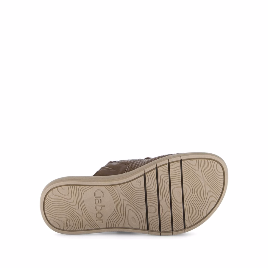 BROWN MULE