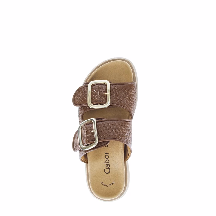 BROWN MULE