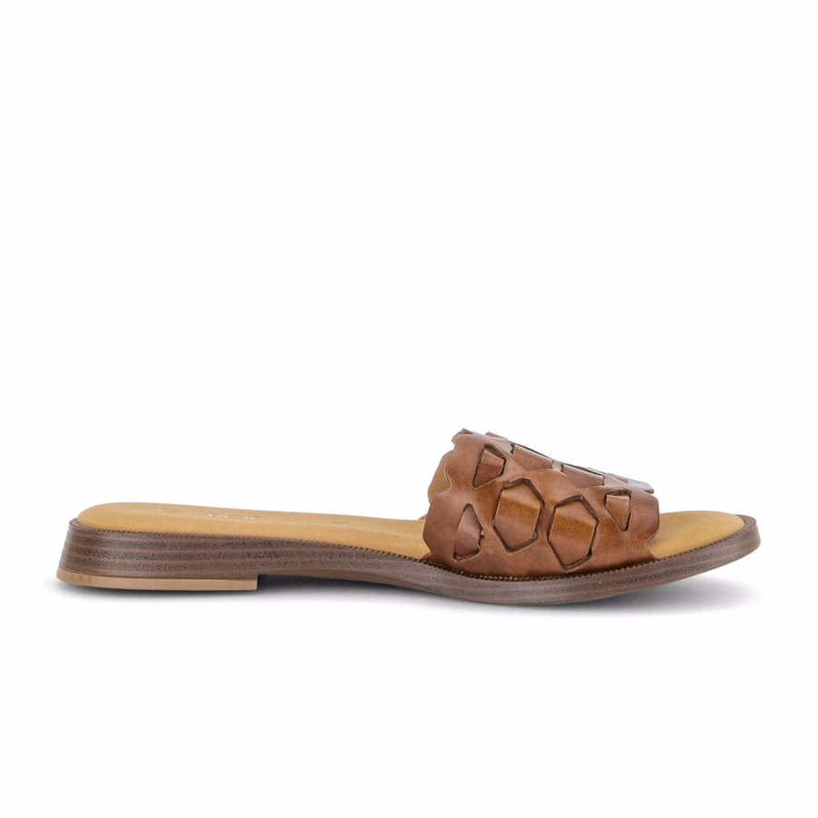 BROWN MULE