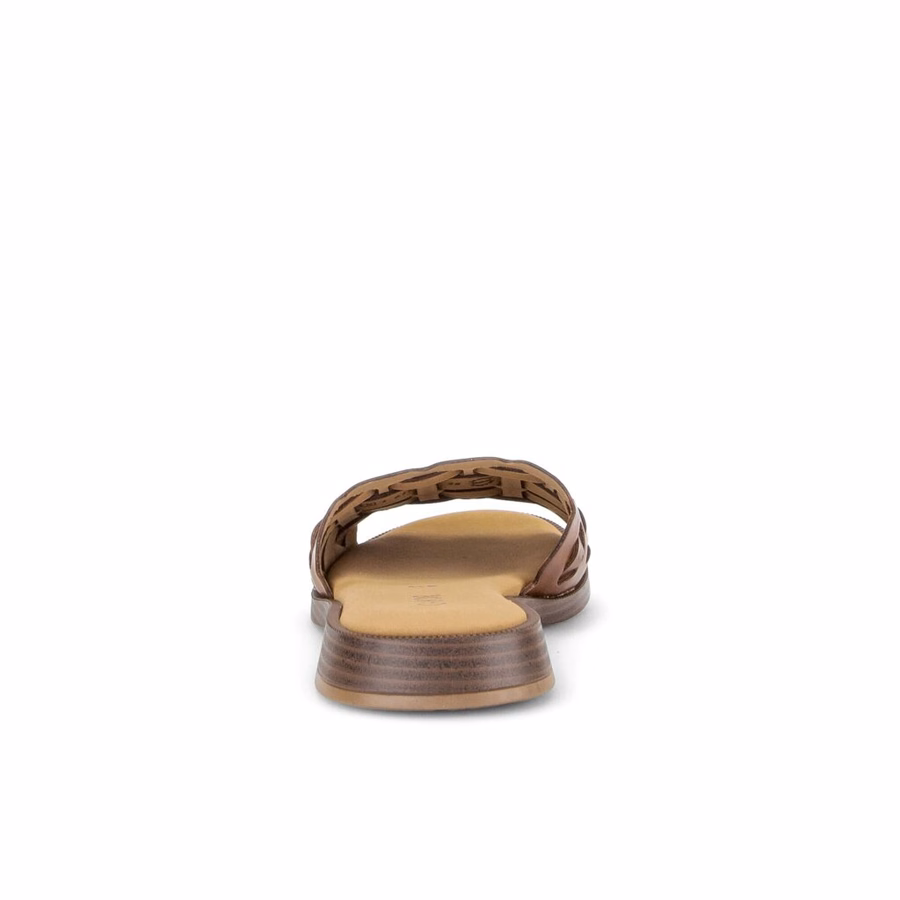 BROWN MULE